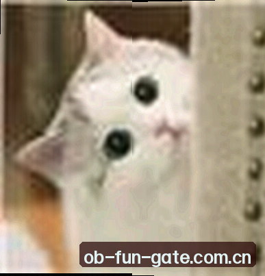 孙涛